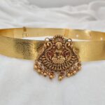 lakshmidevi hipbelt